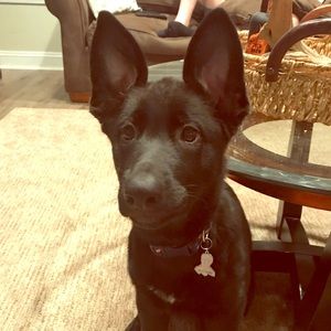 OFFERS!!! Accepting all!!!!